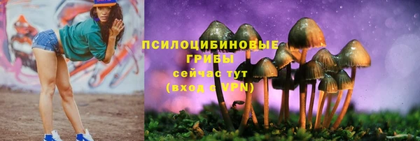 mdma Богданович